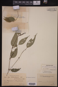 Image Associated With the Occurrence