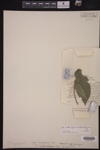 Image Associated With the Occurrence