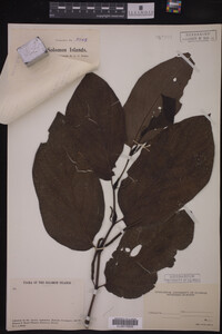 Image Associated With the Occurrence