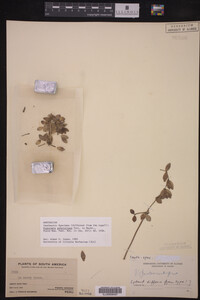Image Associated With the Occurrence