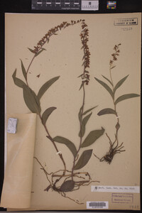 Image Associated With the Occurrence
