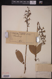 Image Associated With the Occurrence