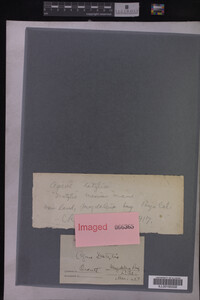 Image Associated With the Occurrence