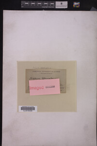 Image Associated With the Occurrence
