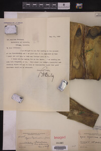 Image Associated With the Occurrence