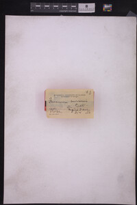 Image Associated With the Occurrence