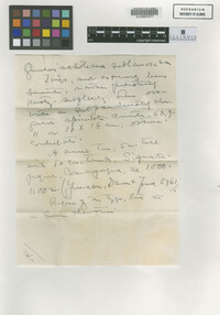 Image Associated With the Occurrence
