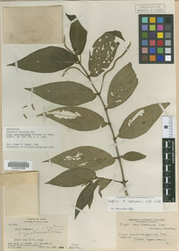 Image Associated With the Occurrence