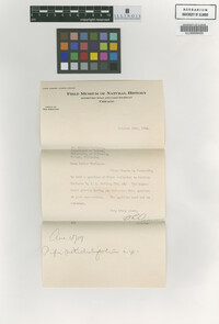 Image Associated With the Occurrence