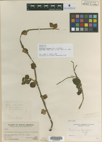 Image Associated With the Occurrence