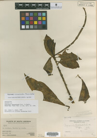 Image Associated With the Occurrence