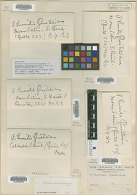 Image Associated With the Occurrence