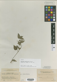 Image Associated With the Occurrence