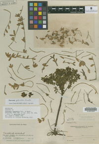 Image Associated With the Occurrence
