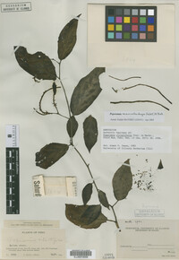 Image Associated With the Occurrence
