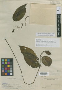 Image Associated With the Occurrence