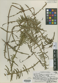 Image Associated With the Occurrence