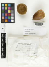 Image Associated With the Occurrence