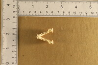Spilogale putorius image