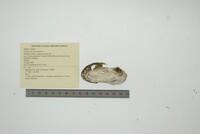 Aspatharia subreniformis image