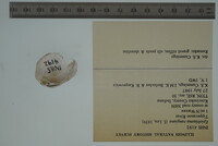 Epioblasma rangiana image