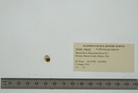 Image Associated With the Occurrence