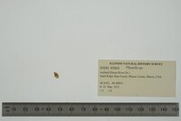Image Associated With the Occurrence