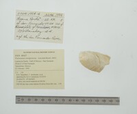 Image Associated With the Occurrence
