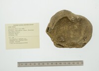 Disconaias disca image
