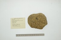 Disconaias disca image
