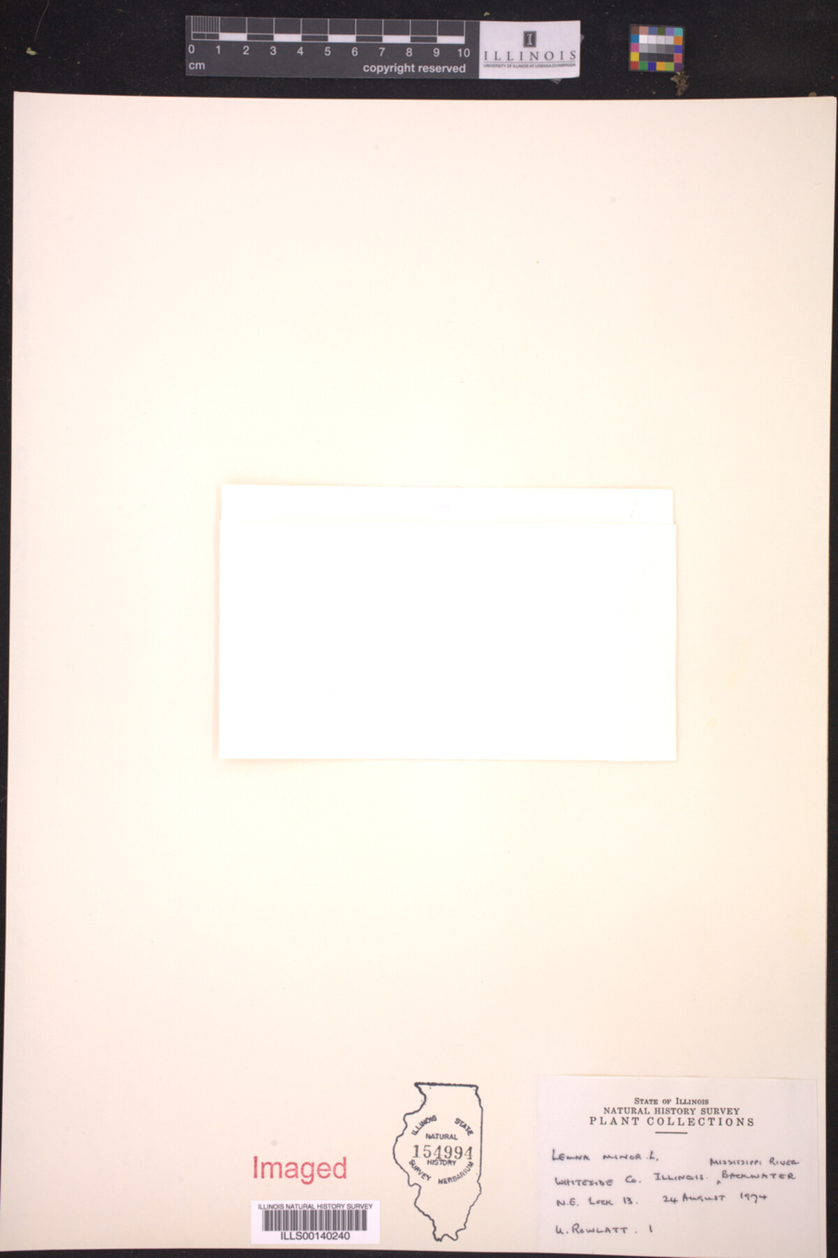 Lemna image