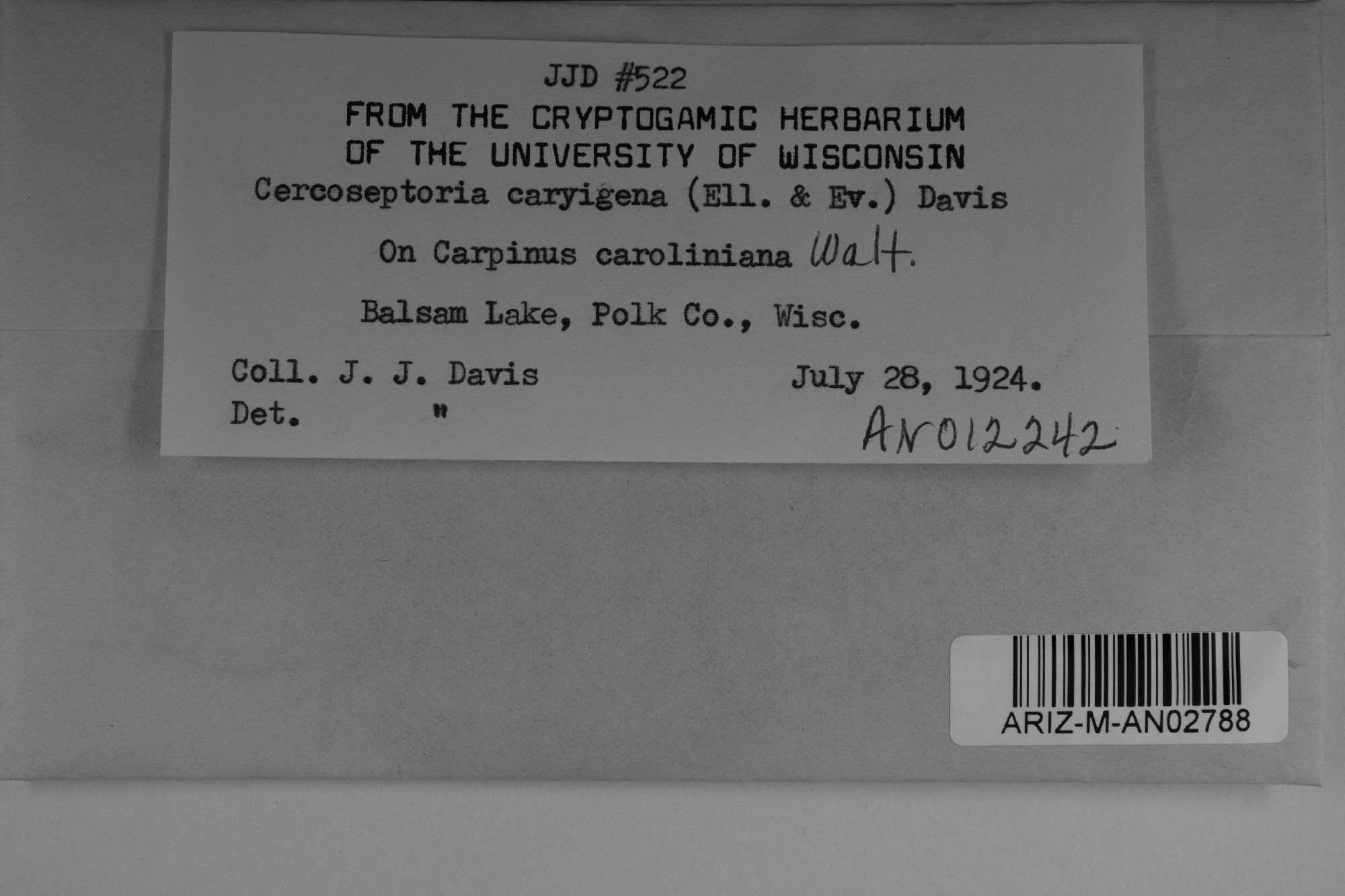 Mycosphaerella caryigena thumbnail
