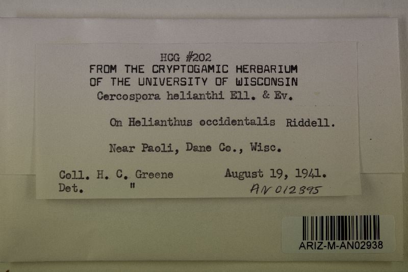 Passalora helianthi image