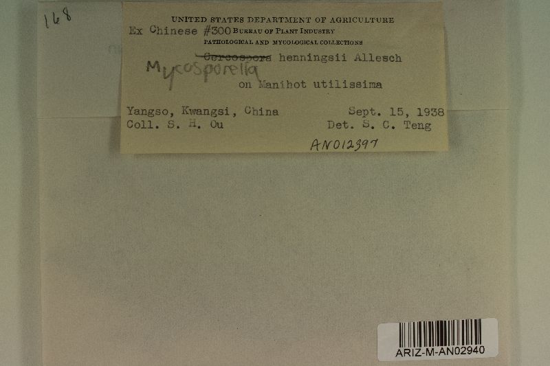 Clarohilum henningsii image