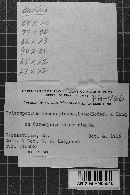 Image Associated With the Occurrence