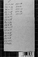 Image Associated With the Occurrence