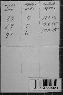 Image Associated With the Occurrence