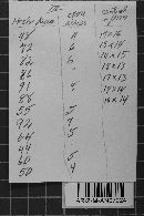 Image Associated With the Occurrence