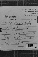 Image Associated With the Occurrence