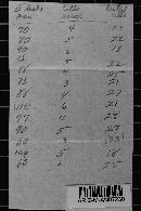 Ravenelia talpa image