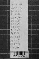 Image Associated With the Occurrence