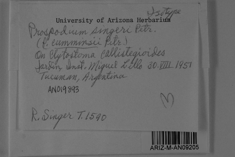 Prospodium singeri image