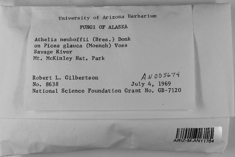 Athelia neuhoffii image