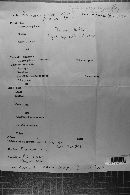 Cyphellopsis anomala image