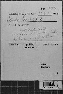 Image Associated With the Occurrence