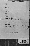 Image Associated With the Occurrence