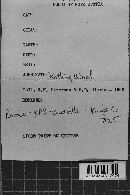 Image Associated With the Occurrence