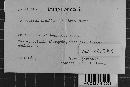 Image Associated With the Occurrence
