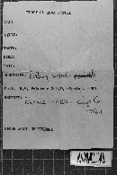 Image Associated With the Occurrence