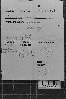 Image Associated With the Occurrence